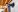 Adobe Stock 582103350